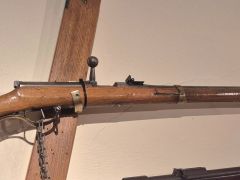 Exponat des Monats - Jun. &#039;24